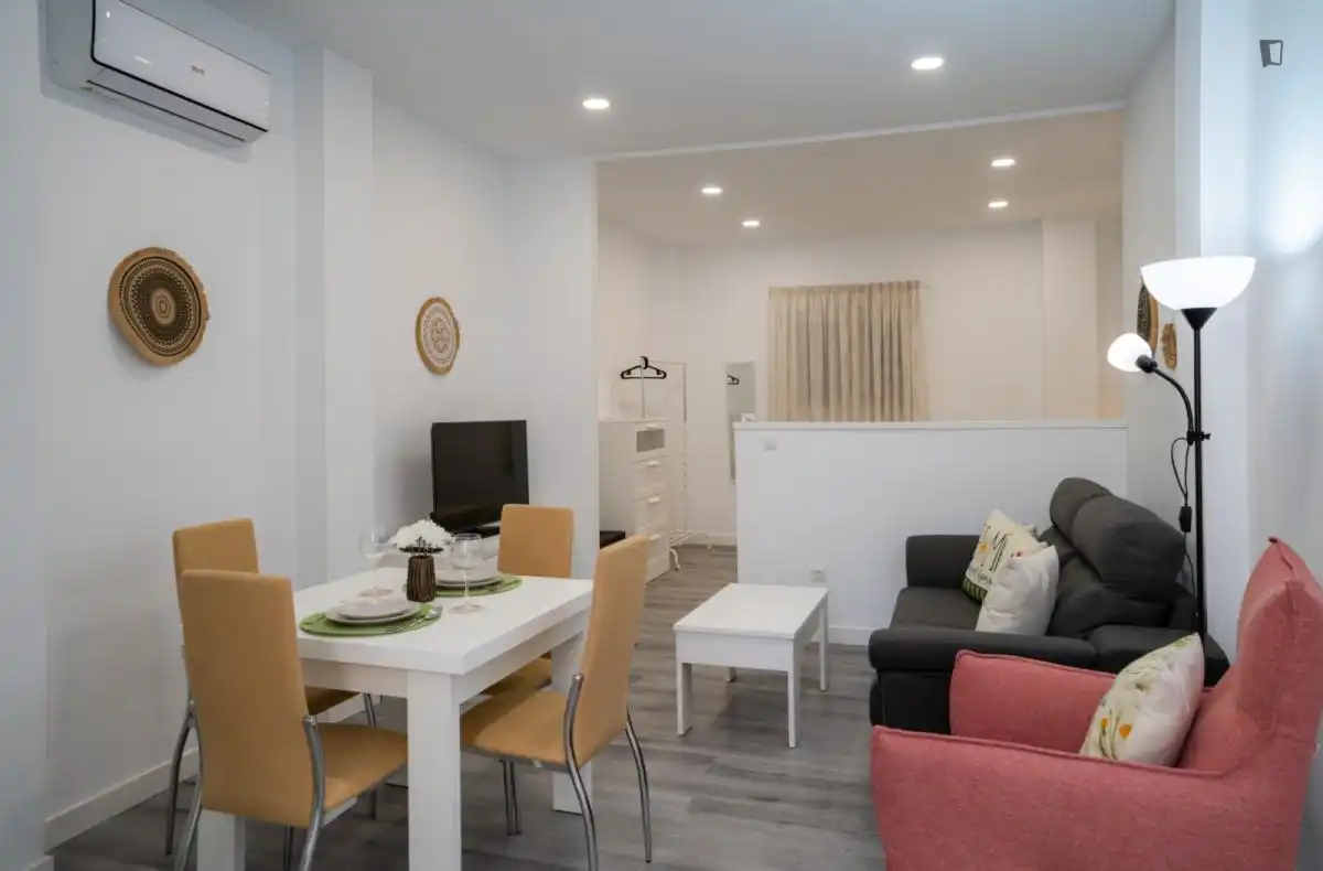 Sala d'estar de Estudi de lloguer en Málaga amb Aire condicionat, Calefacció i Moblat