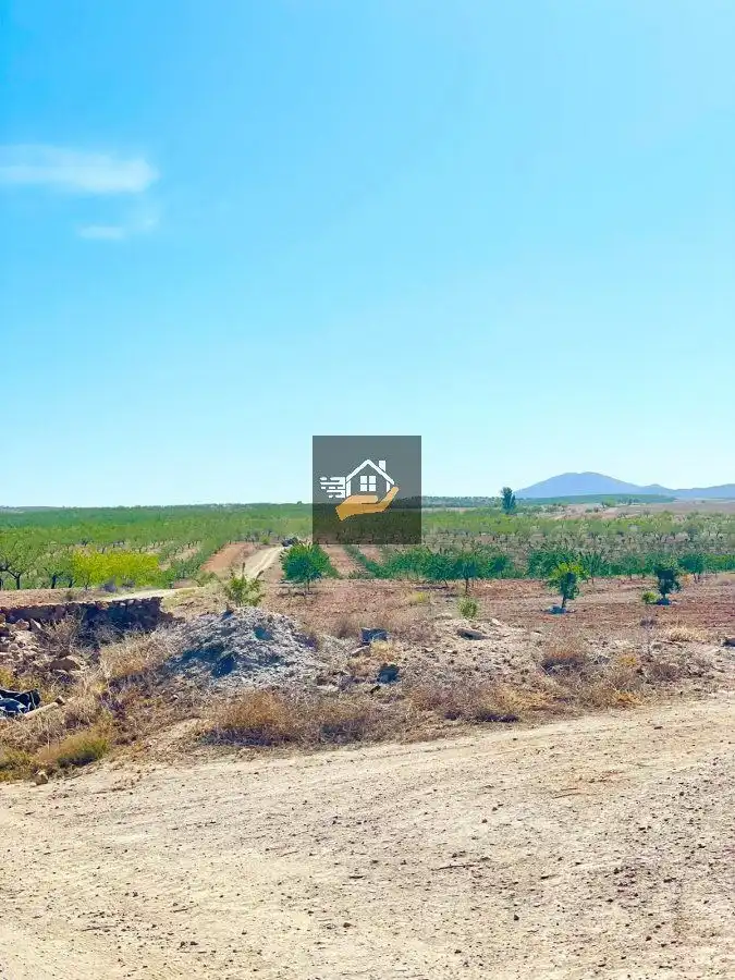 Finca rústica en venda en Chirivel