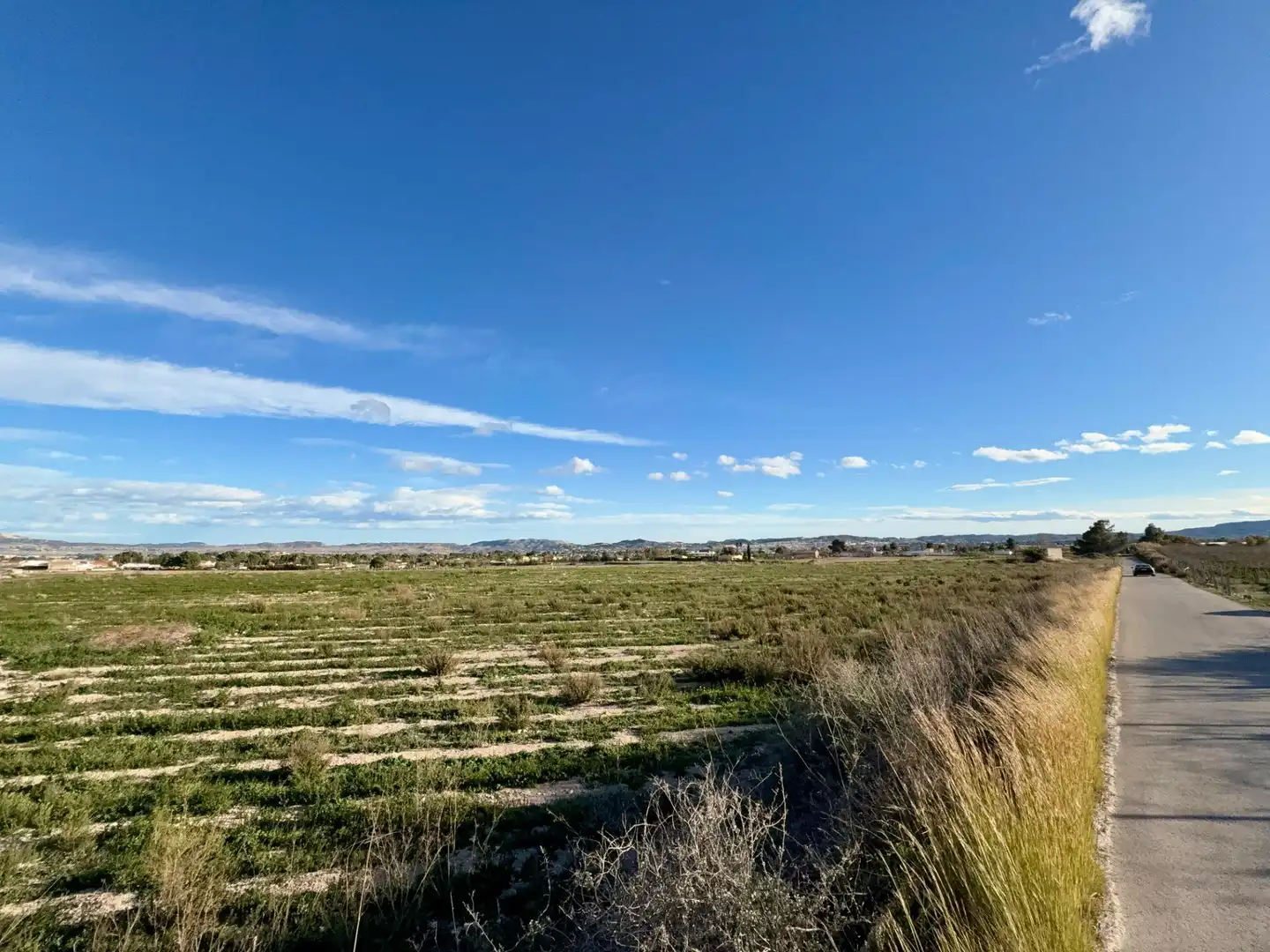 Rural land for sale in Novelda, imagen 3
