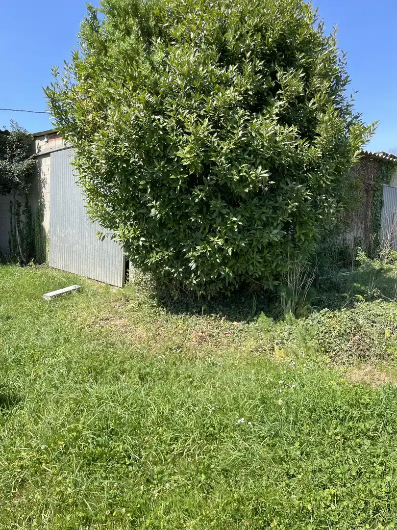 Finca rústica en venda en Oroso, A Coruña
