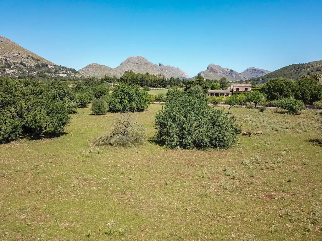 Rustikales Grundstück zum Verkauf in Pollença Poble, imagen 2