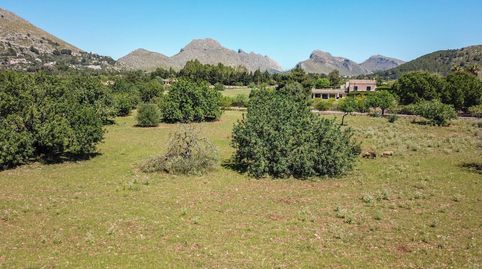 Parcela generosa en venta cerca de Puerto Pollensa en Mallorca, immagine 2