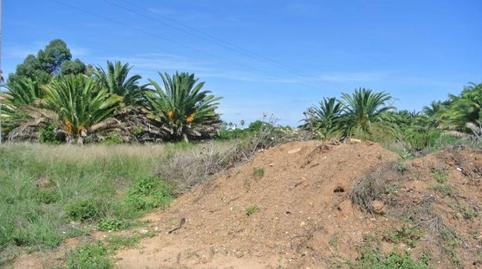 Photo 5 of Residential for sale in Les Bassetes - El Marjal, Alicante