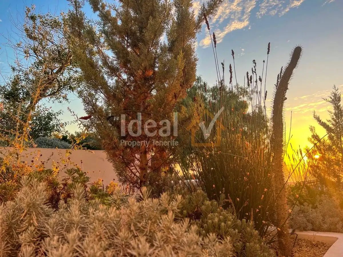 Exterior view of Houses for sale in Güímar  with Private garden, Terrace and Swimming Pool