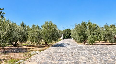 Foto 4 de Finca rústica en venda a Tíjola, Almería