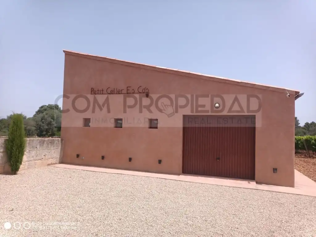 Exterior view of Houses for sale in Costitx