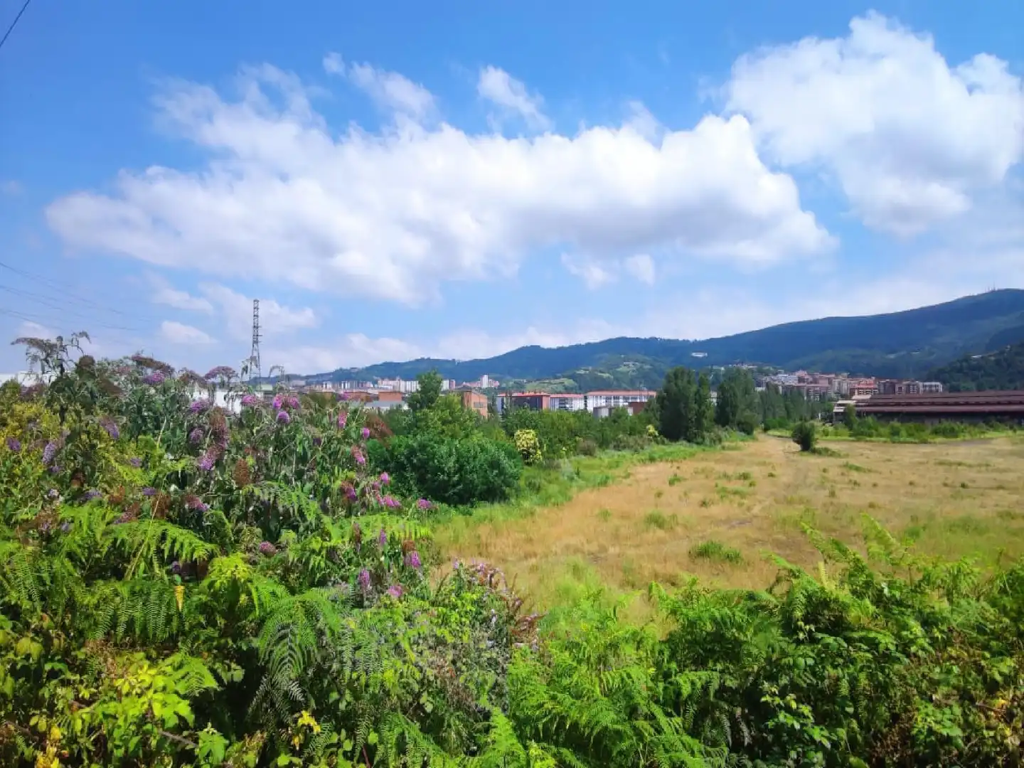 Piso en venta en Basauri 