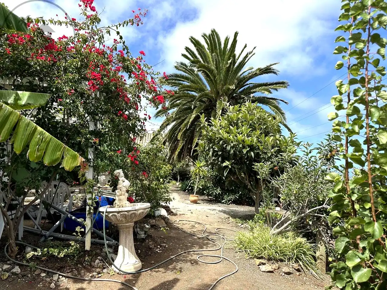 Garten von Country house zur Miete in El Genovés mit Privatgarten, Terrasse und Möbliert