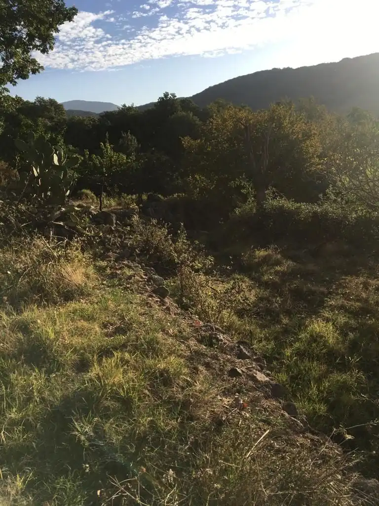 Terreni e lotti in vendita a Aldeanueva de la Vera, imagen 5