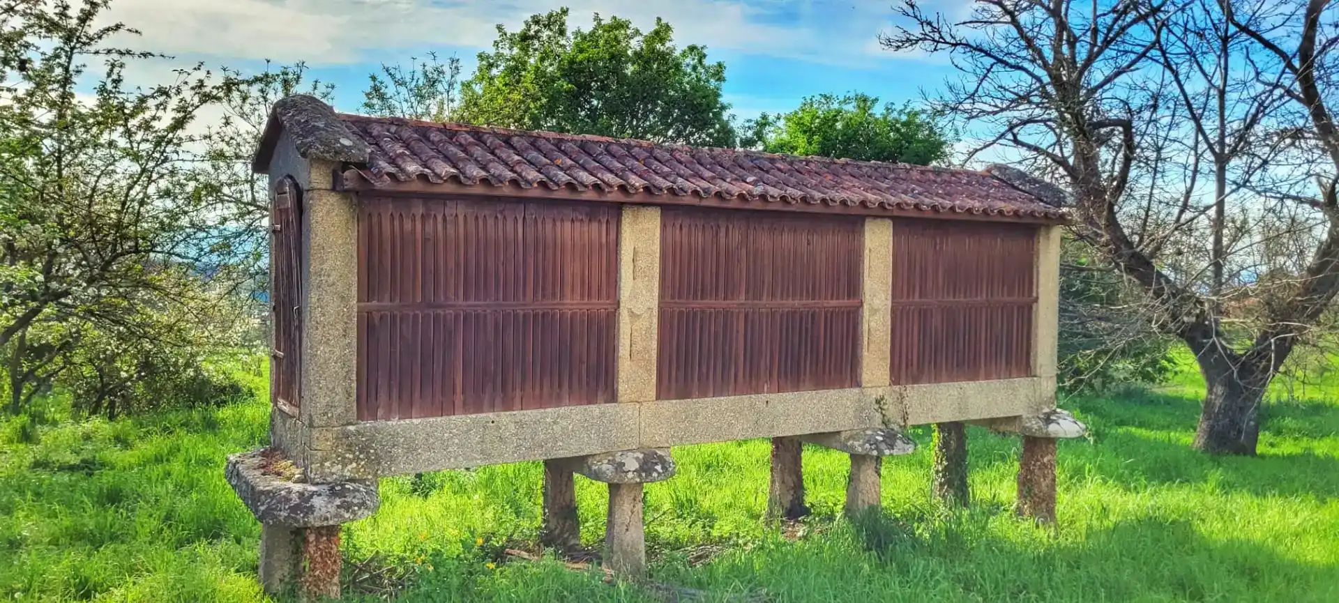 Vista exterior de Casa o chalet en venta en A Bola  con Balcón