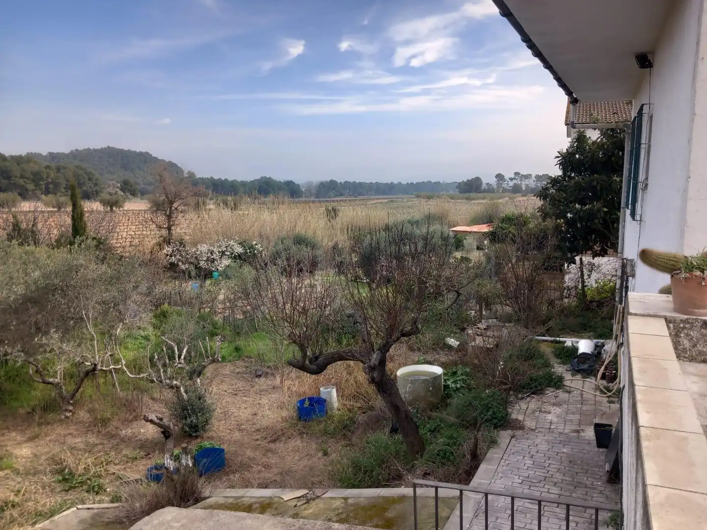 Jardí de Casa o xalet en venda en Torrelles de Foix amb Traster