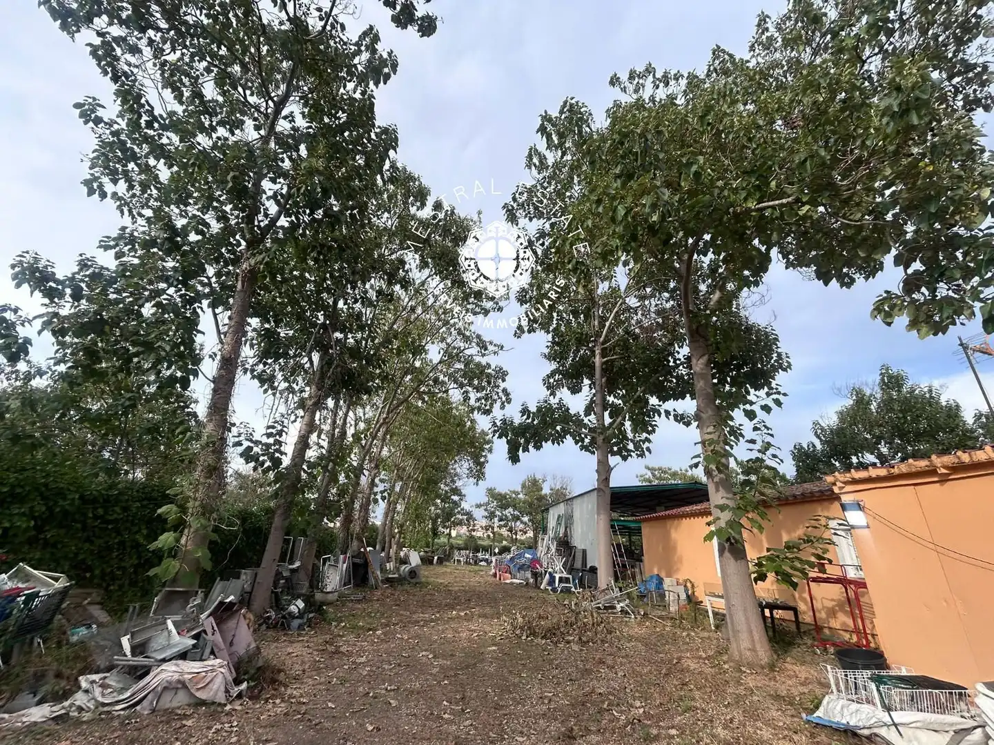 Terreno rustico in vendita a 16, imagen 7