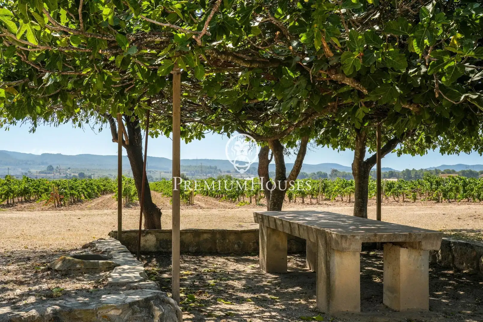 Casa rustica con terrazza in vendita a Castellet i la Gornal, imagen 12