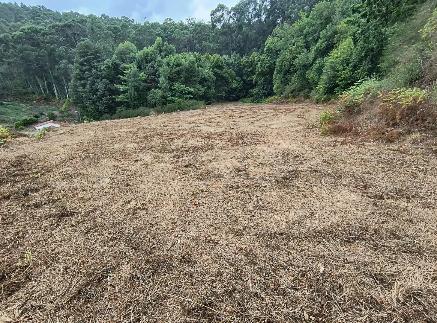 Terrenos y solares en venta en Mondariz, imagen 8