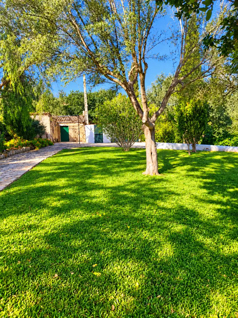 Country house with pool to rent in Port d'Andratx, imagen 73
