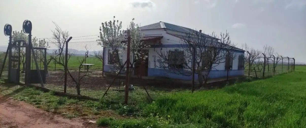 Finca rústica en venta en Valdepeñas