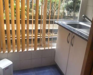 Estudi per a compartir a Albia