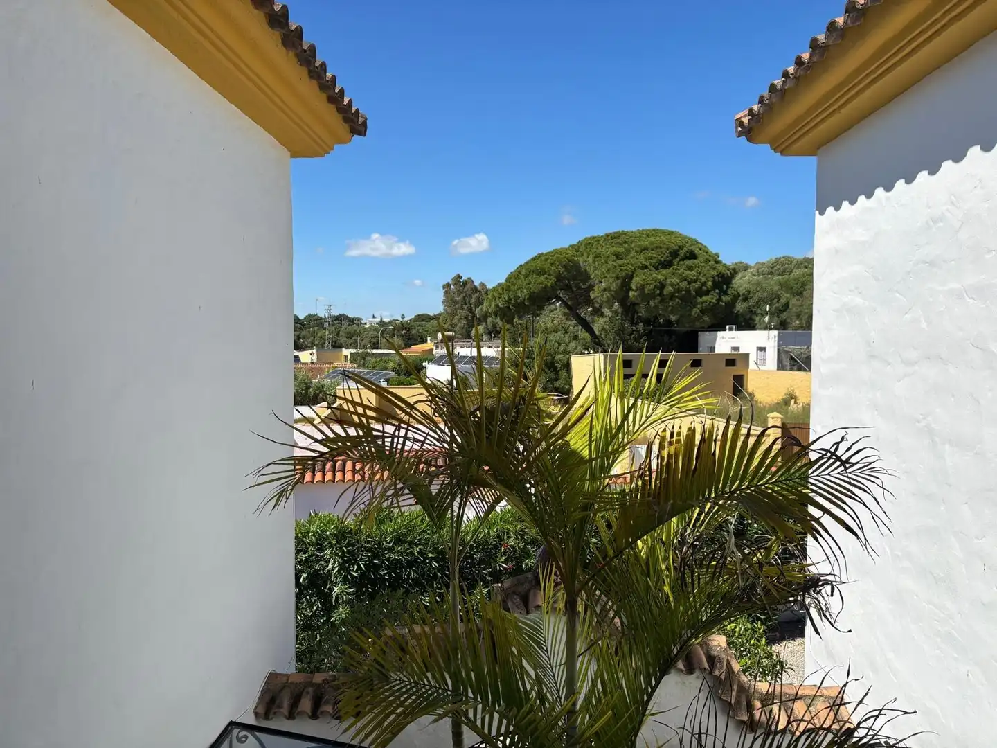 Casa rústica amb piscina en venda a Barbate ciudad, imagen 54