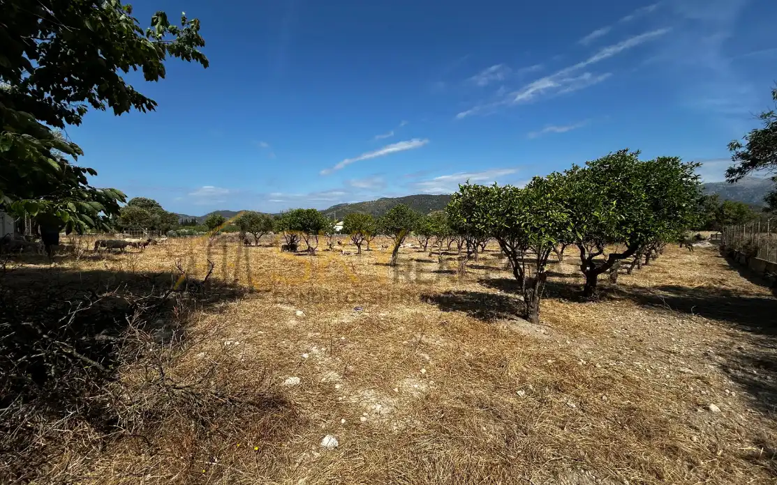Terrain rustique à vendre à Diseminado Poligono 9 278, imagen 6