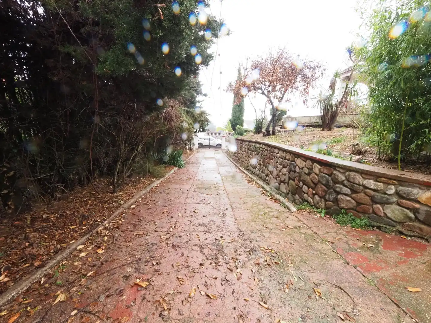 Vista exterior de Casa o chalet en venta en Tordera con Calefacción, Jardín privado y Terraza