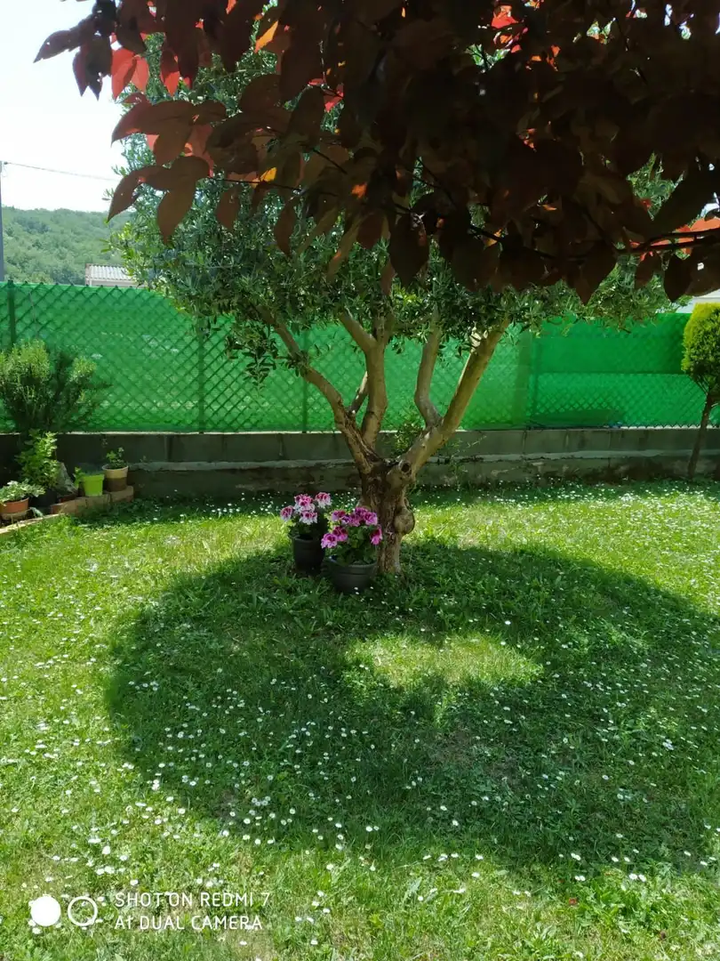 Jardín de Casa o chalet en venta en Les Planes d'Hostoles con Aire acondicionado, Jardín privado y Terraza