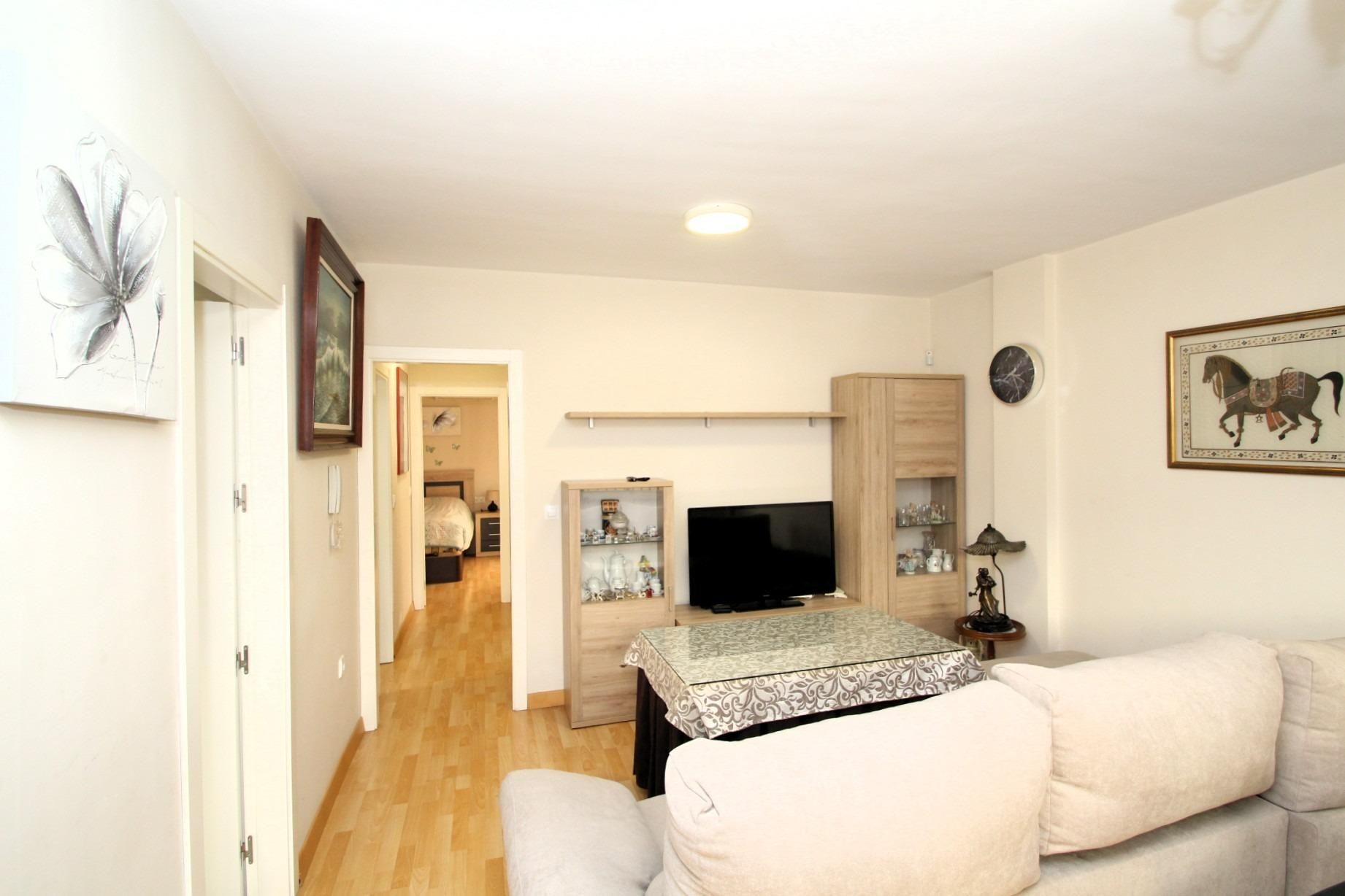 Living room of Flat for sale in Cúllar Vega  with Furnished