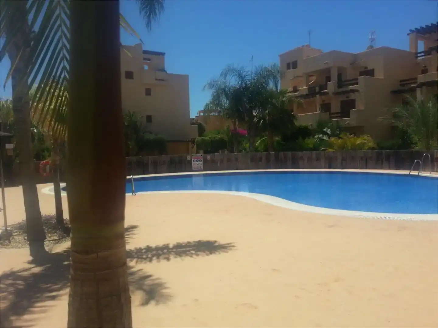 Schwimmbecken von Wohnung zur Miete in Puerto Vera