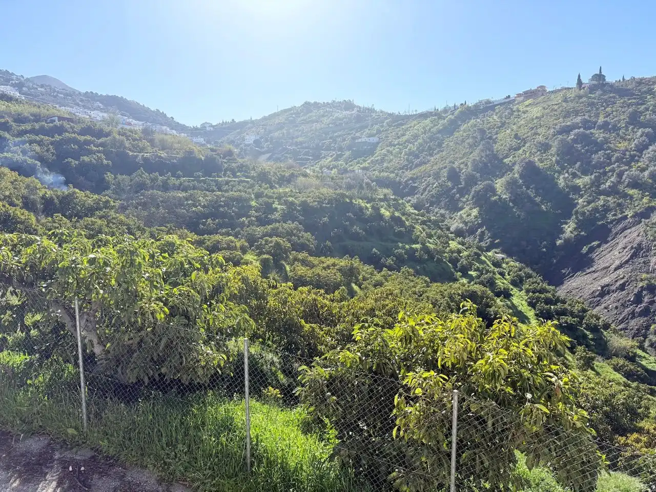 Land for sale in Canillas de Albaida