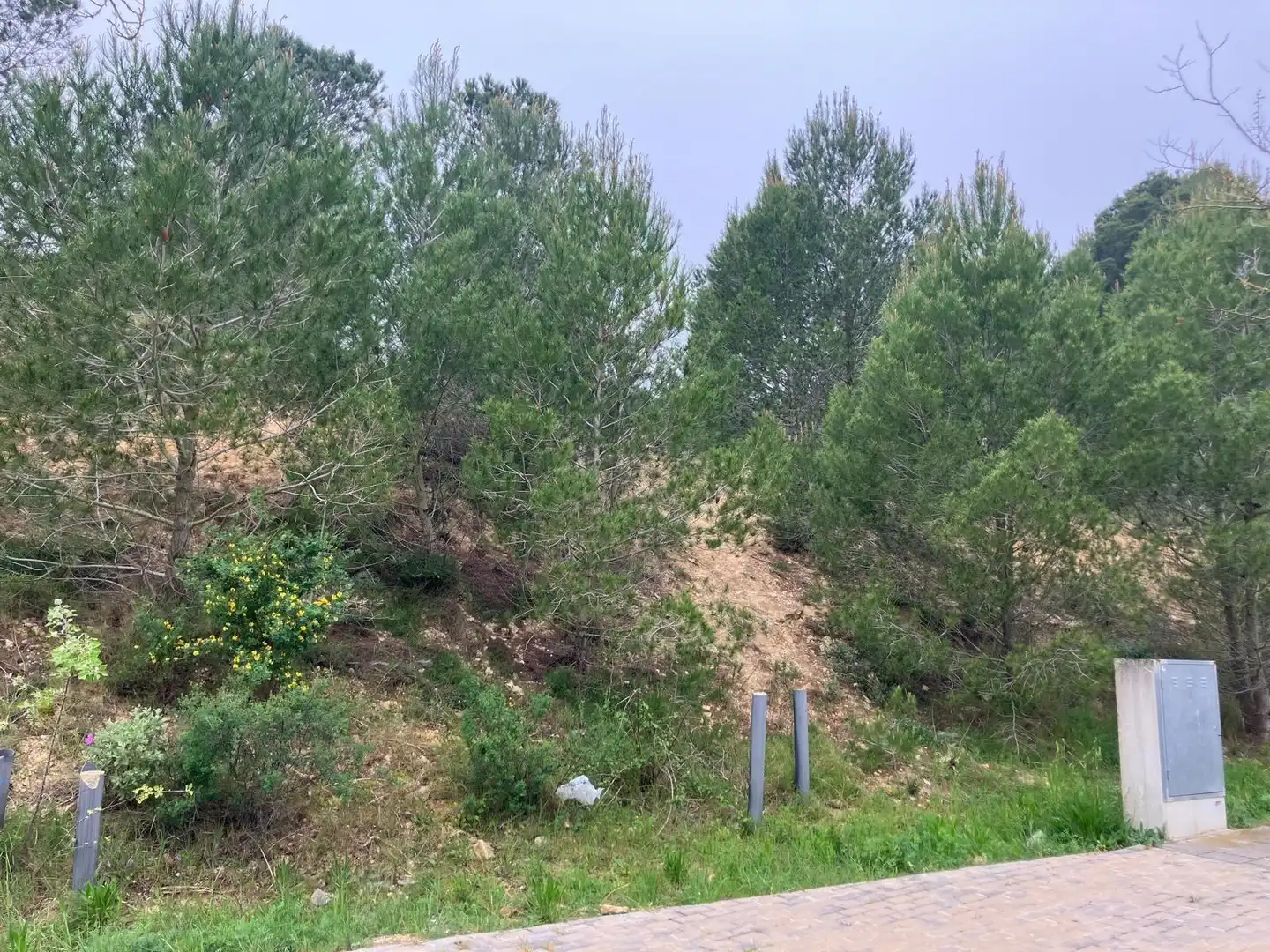 Wohnbaugrundstück zum Verkauf in Avenida DR FCO JAVIER IRURITA, imagen 9