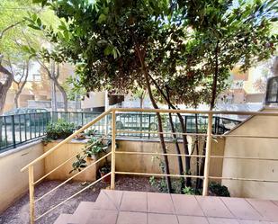 Planta baja to rent in Carrer del Gessamí, Es Rafal Vell