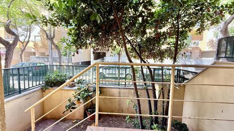 Photo 3 of Planta baja to rent in Carrer del Gessamí, Es Rafal Vell,  Palma de Mallorca