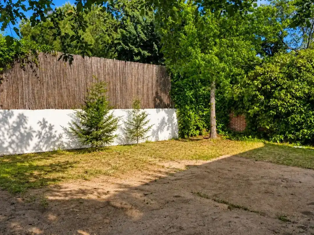 Jardí de Casa o xalet en venda en Galapagar amb Aire condicionat i Piscina