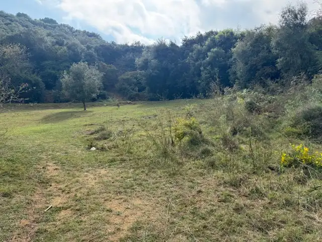 Wohnbaugrundstück zum Verkauf in Carrer Joan Portabella 1c, imagen 12
