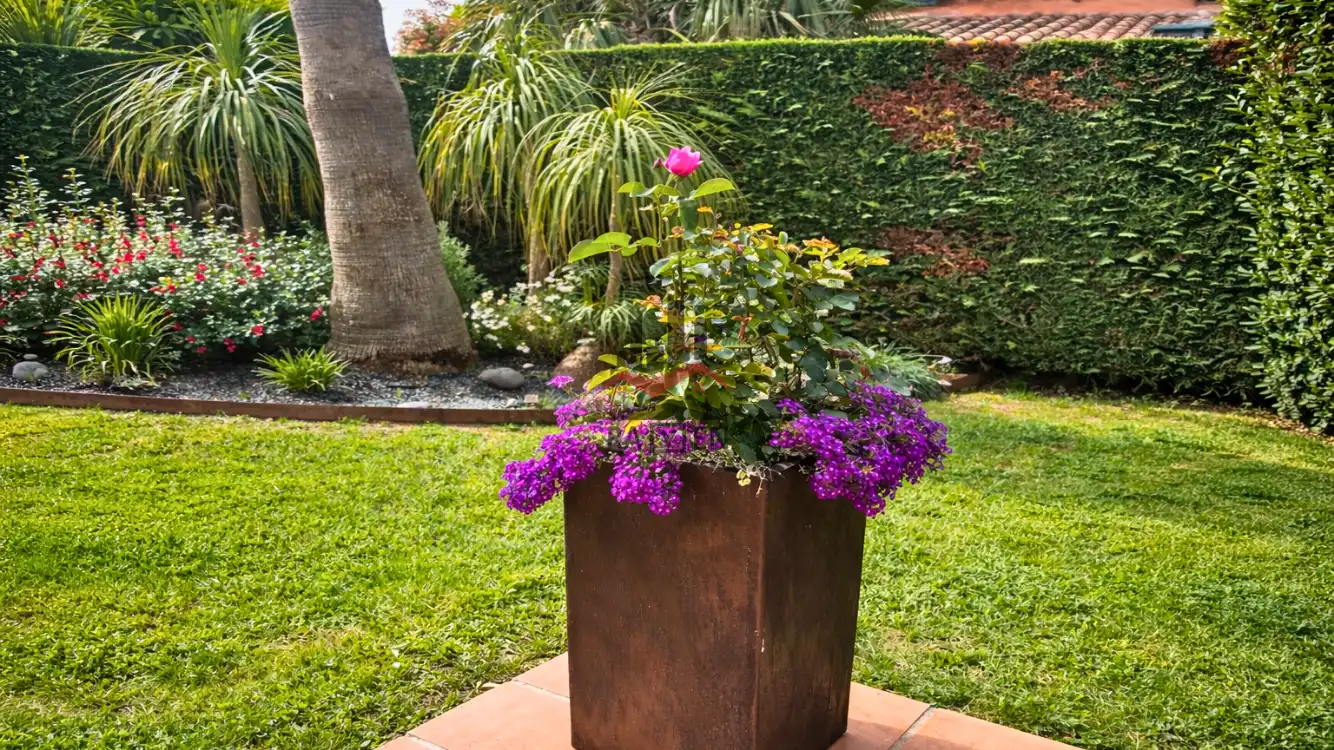 Casa con giardino in vendita a Navata, imagen 56