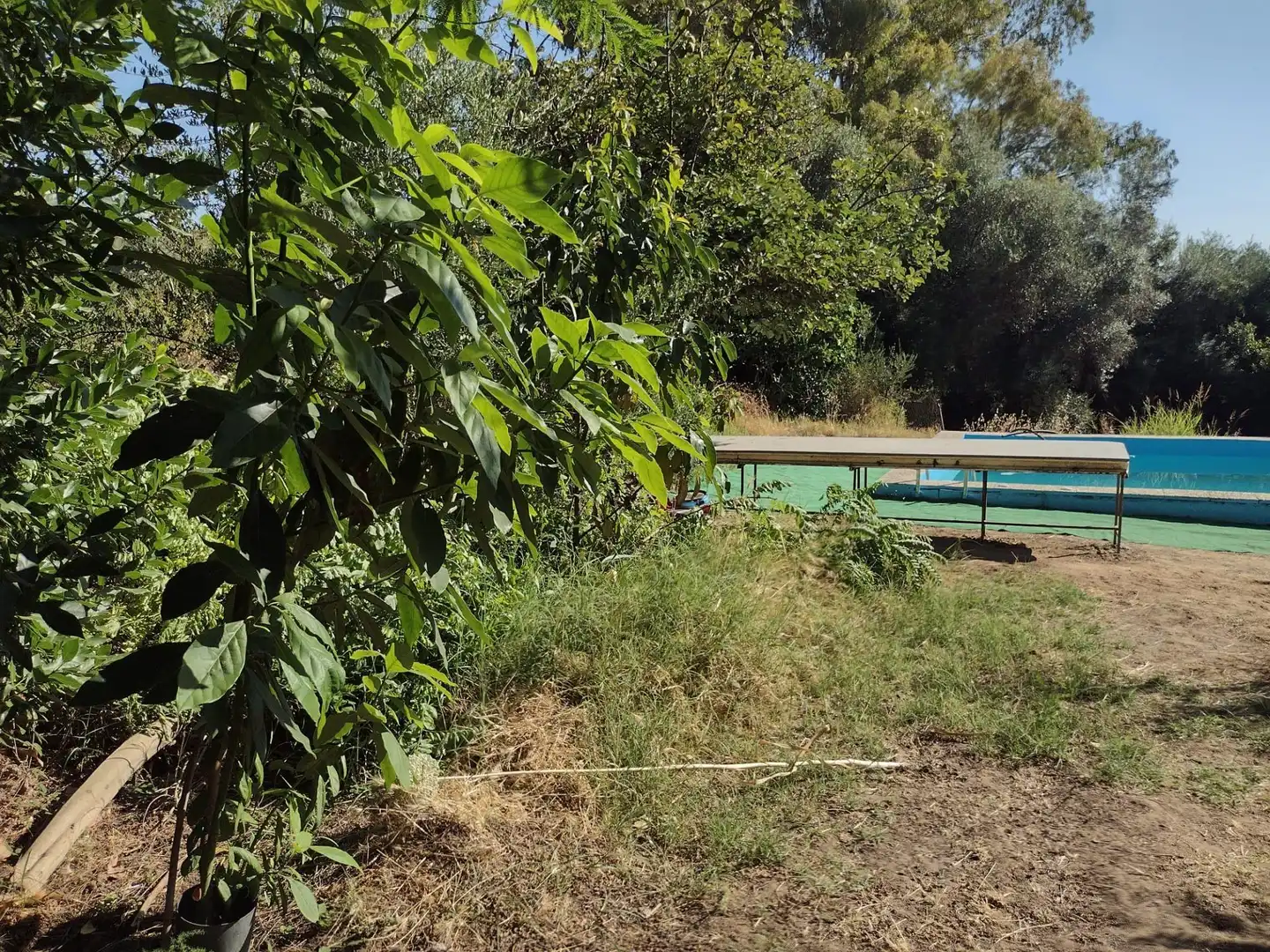 Casa o chalet en venta en Cantillana con Jardín privado y Piscina