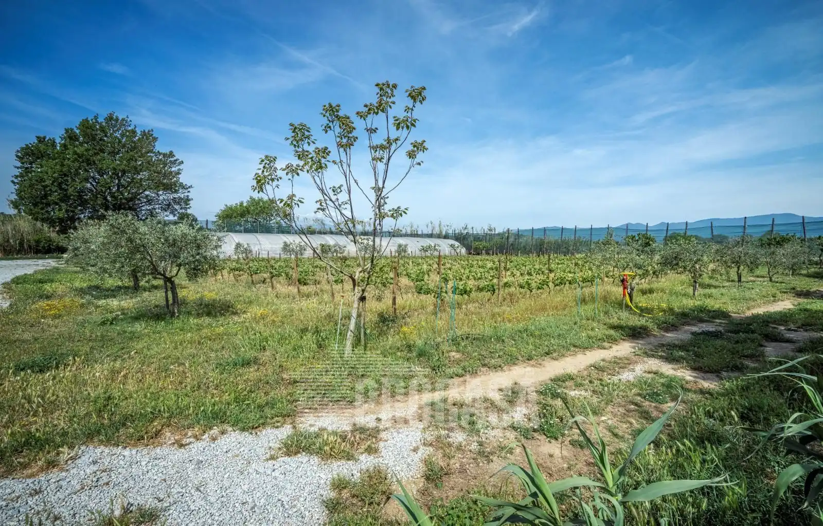 Houses for sale in Masarac i Vilarnadal  with Air Conditioner, Storage room and Swimming Pool