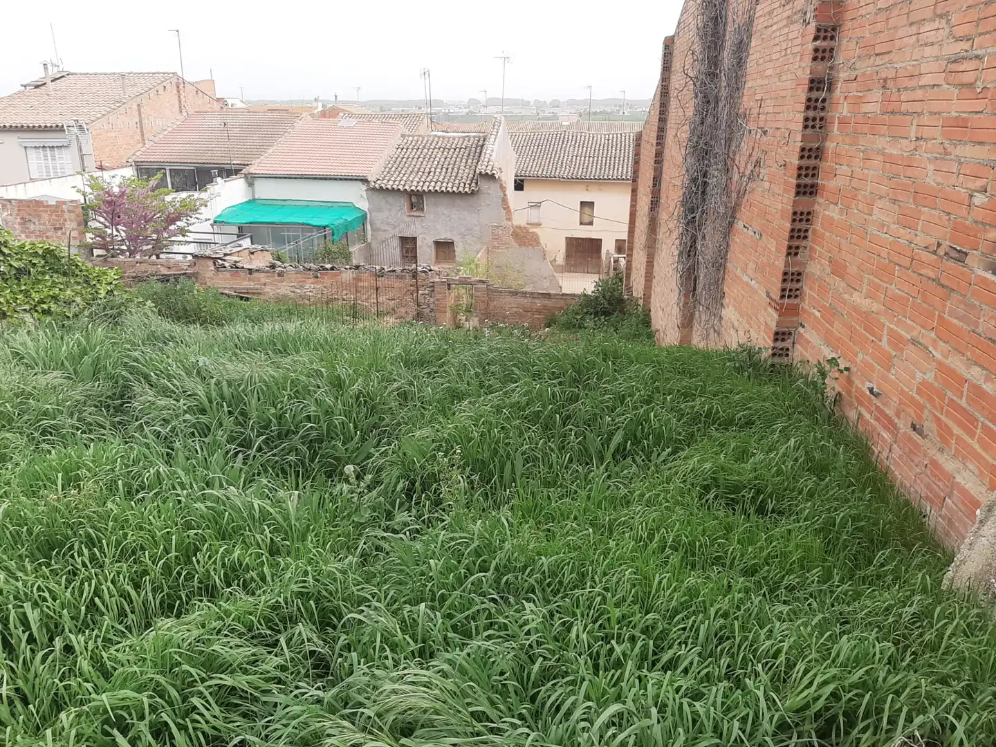 Terreno industrial en venta en Miralcamp