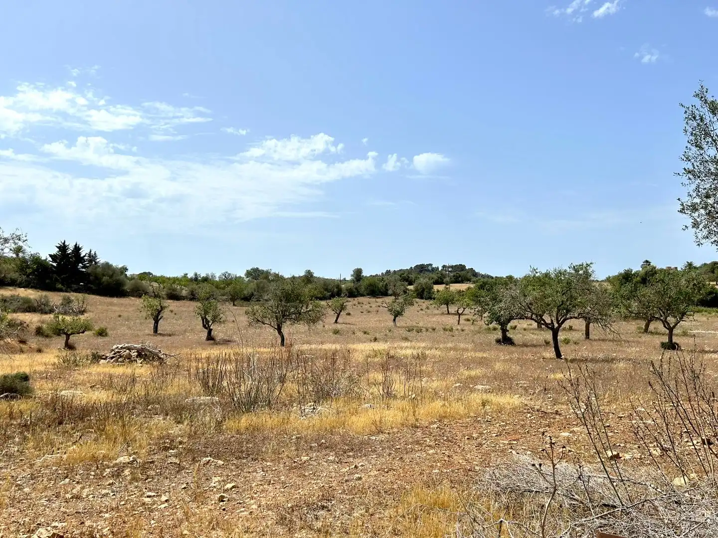 Terreny en venda en Santanyí