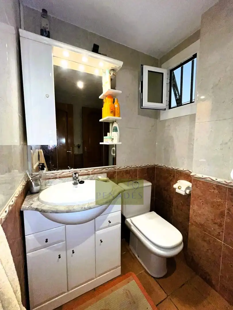 Baño de Casa o chalet en venta en El Pilar 