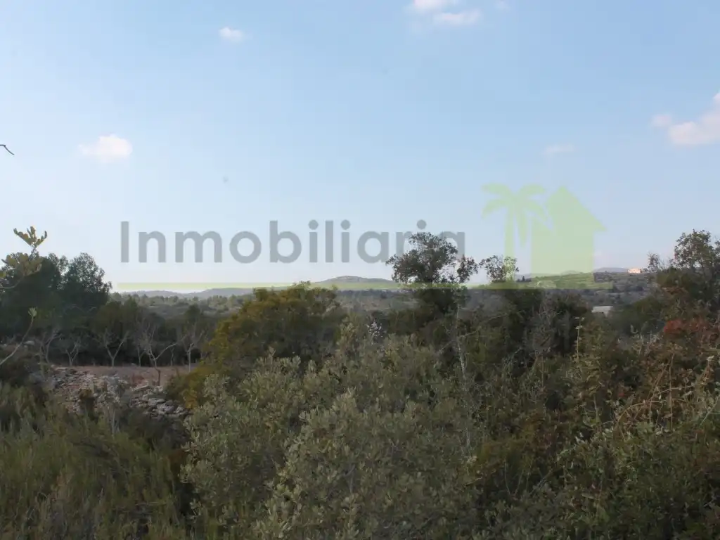 Rural land for sale in Poligono Poligono 50, imagen 9