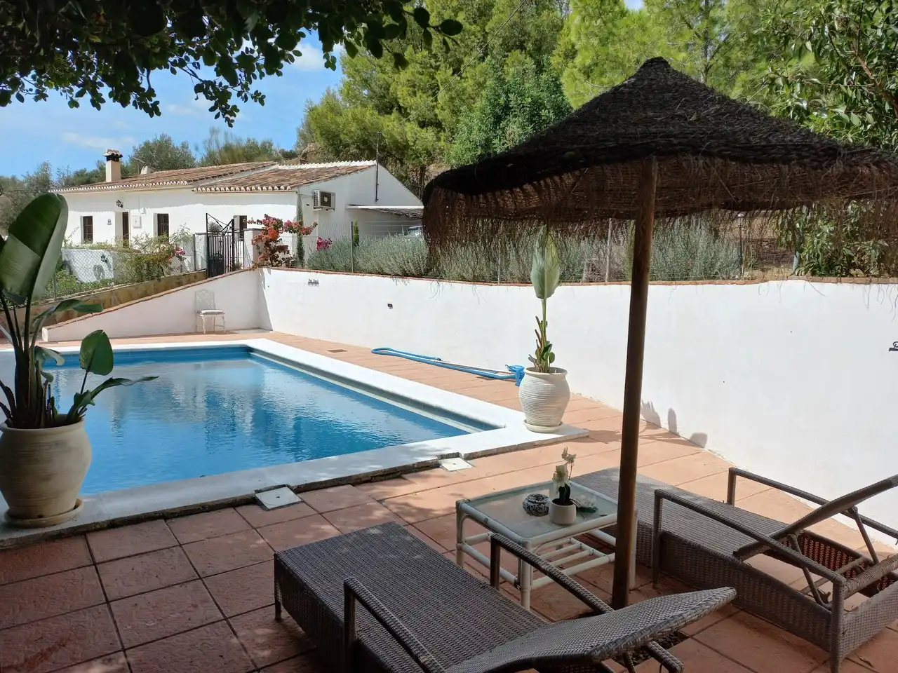 Maison avec piscine à vendre à Alcaucín, imagen 4