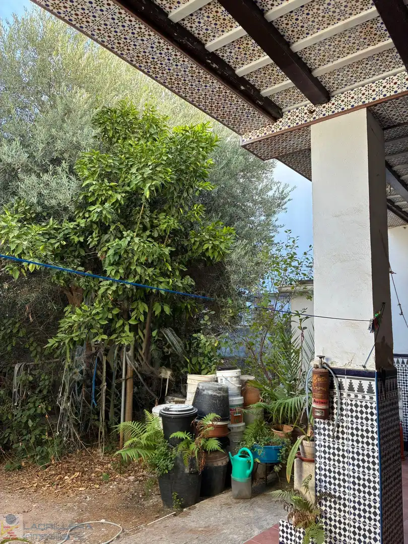 Jardí de Casa o xalet en venda en San Fernando amb Terrassa