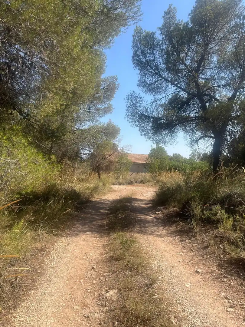 Terrenys i solars en venda a Totana, imagen 30