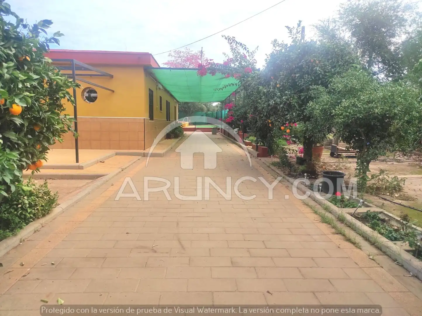 Chalet con piscina en venta en Mairena del Alcor, imagen 14
