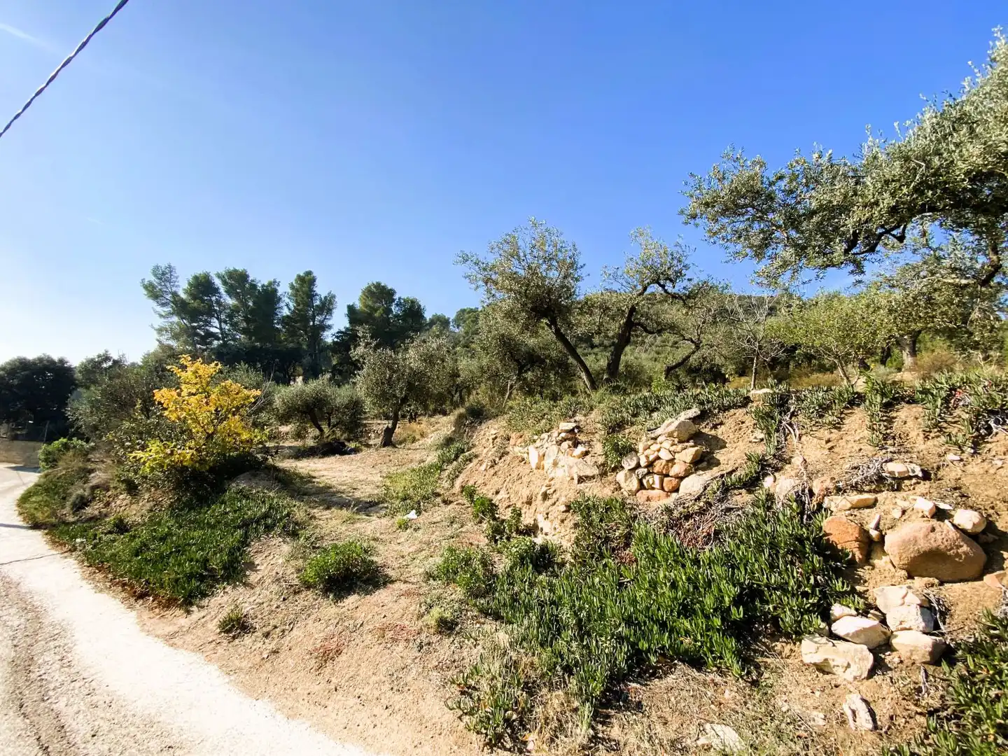 Casa rústica en venta en de les Valls, imagen 6
