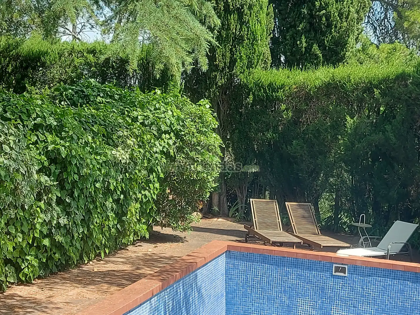 Haus mit Terrasse zum Verkauf in Carrer de Bonaventura Pedemonte 5B, imagen 6