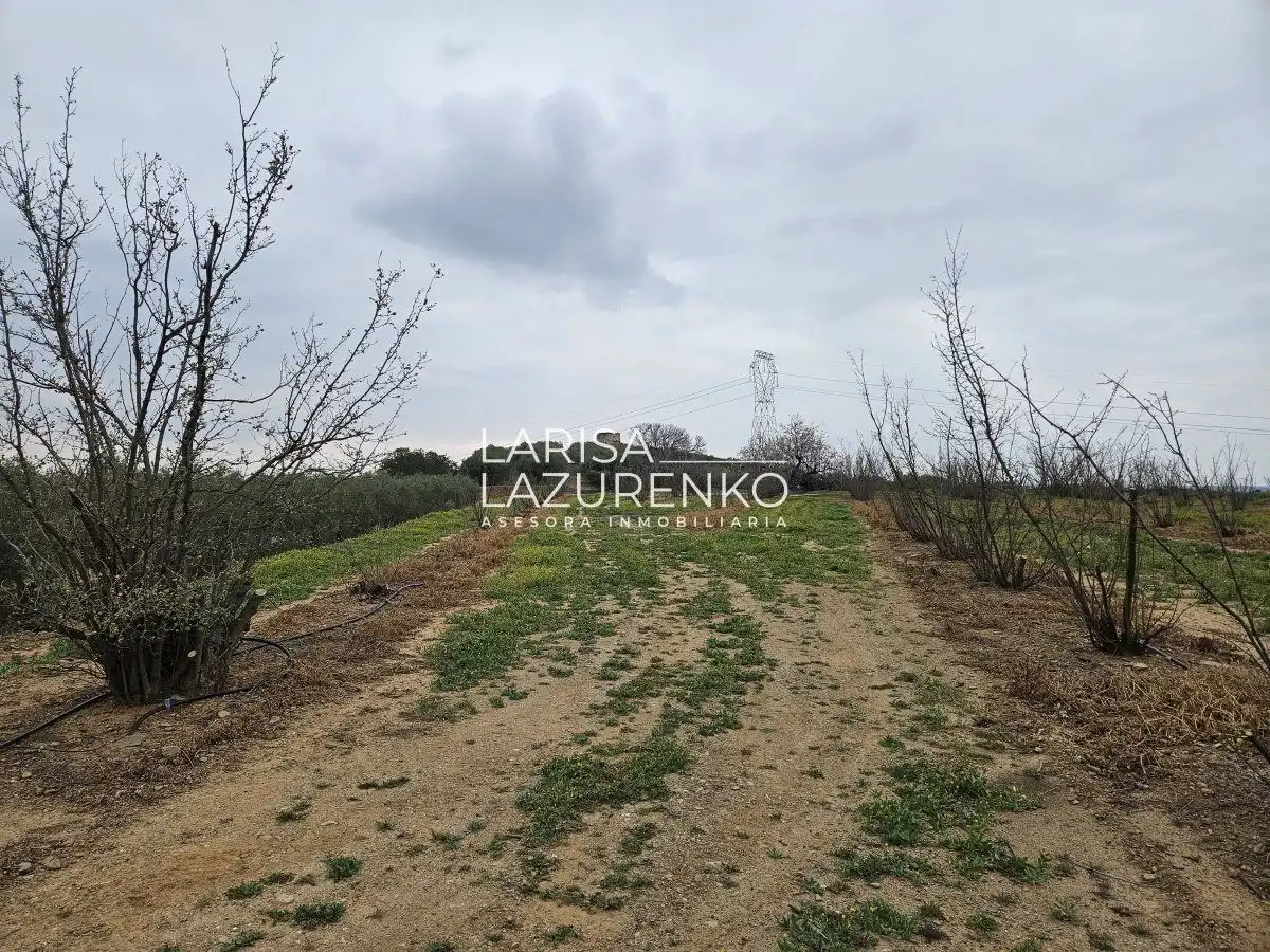 Finca rústica en venda en Riudoms