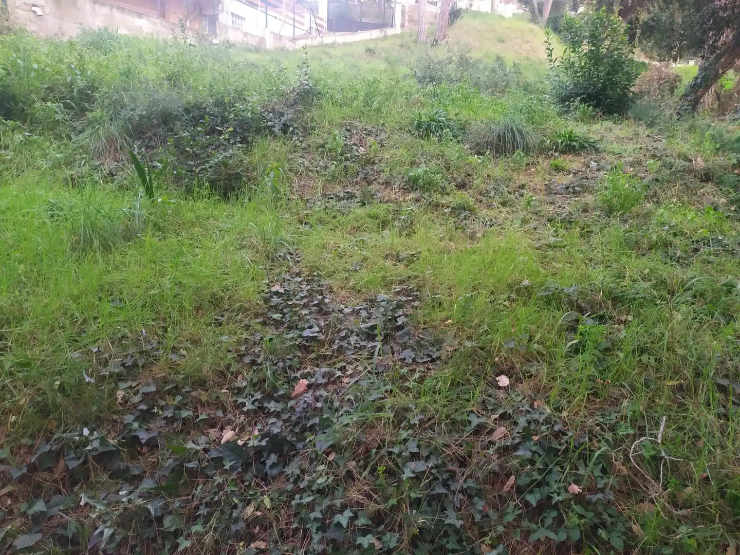 Wohnbaugrundstück zum Verkauf in Mas Mora - Sant Daniel, imagen 7