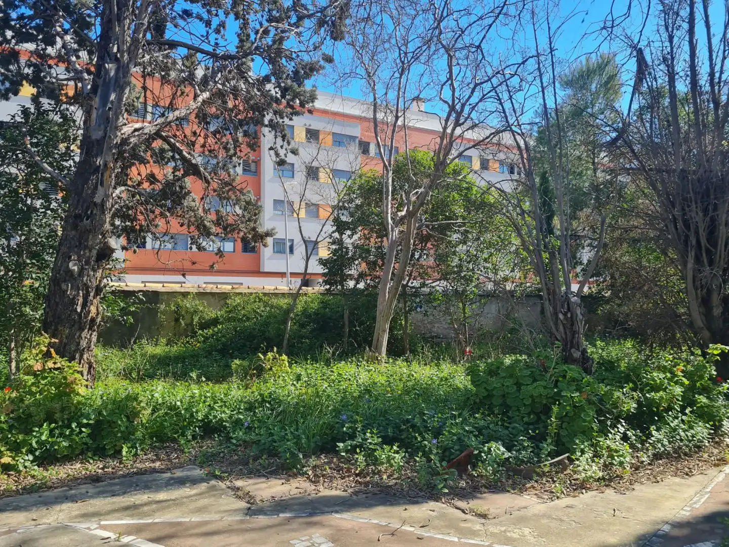 Villa à vendre à San Jaime 97, imagen 44