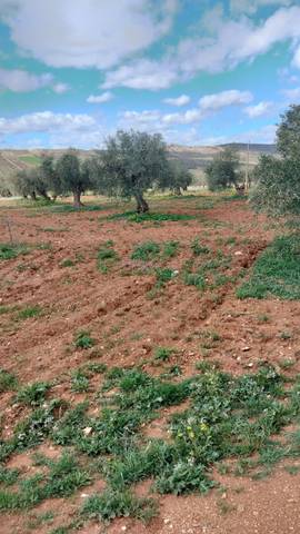 Terreno en Venta en La Malahá